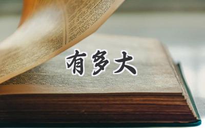 有多大