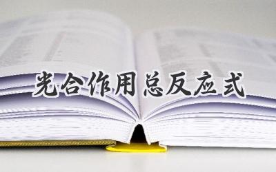 光合作用总反应式