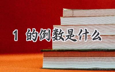 1的倒数是什么