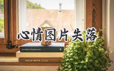 心情图片失落