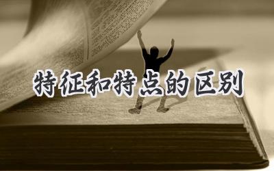 特征和特点的区别