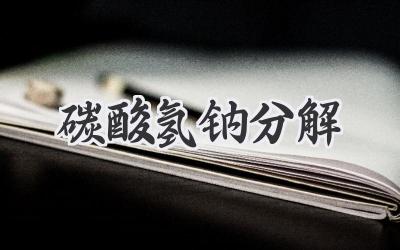 碳酸氢钠分解