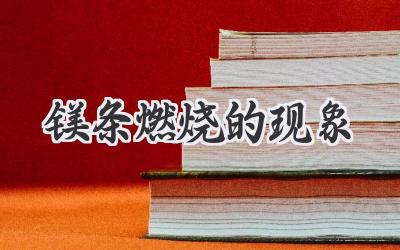 镁条燃烧的现象