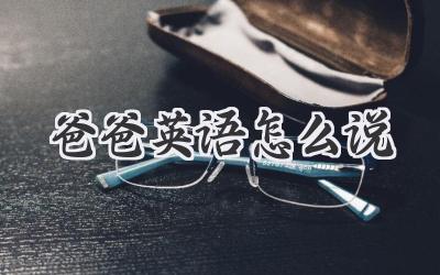 爸爸英语怎么说