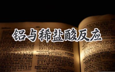 铝与稀盐酸反应
