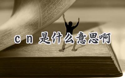 cn是什么意思啊