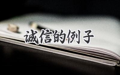 诚信的例子
