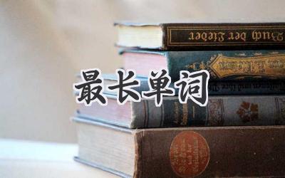 最长单词