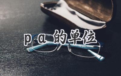 pa的单位
