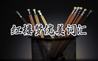 红楼梦优美词汇