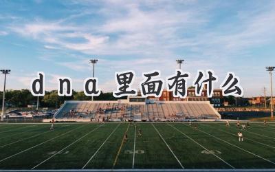 dna里面有什么