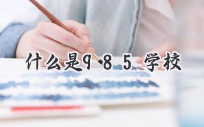 什么是985学校