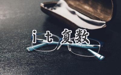 it复数