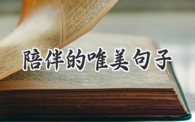陪伴的唯美句子
