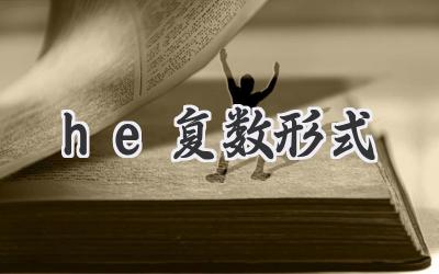 he复数形式