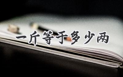 一斤等于多少两