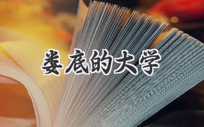娄底的大学