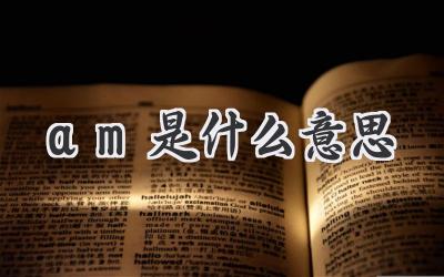 am是什么意思
