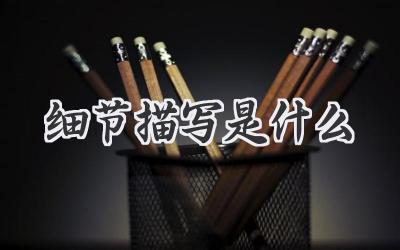 细节描写是什么