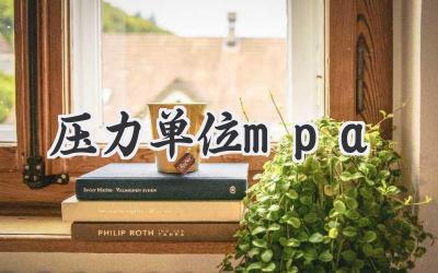 压力单位mpa
