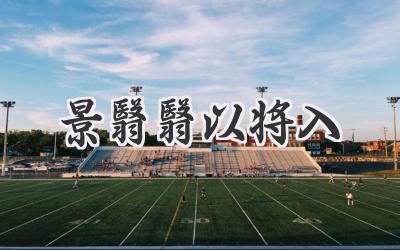 景翳翳以将入