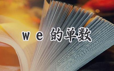 we的单数