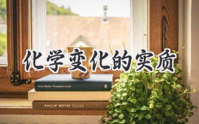 化学变化的实质