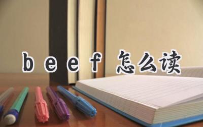 beef怎么读