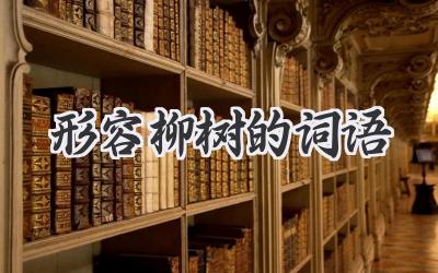 形容柳树的词语