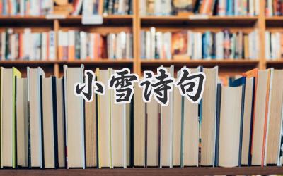小雪诗句
