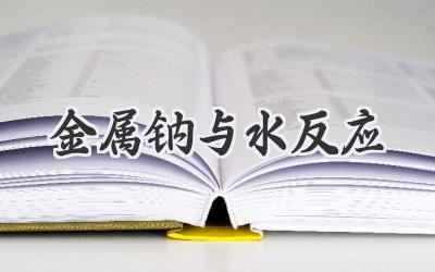 金属钠与水反应