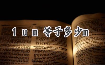 1um等于多少m