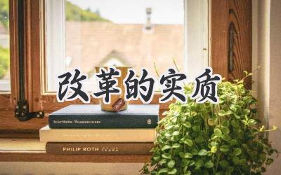 改革的实质
