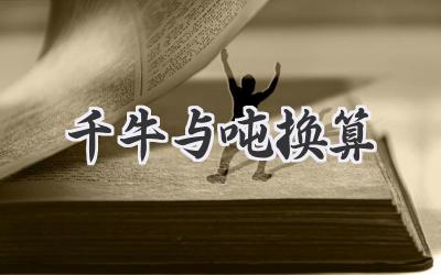 千牛与吨换算
