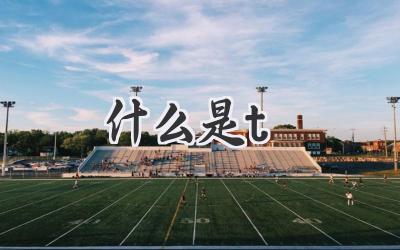 什么是t