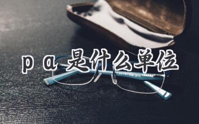 pa是什么单位