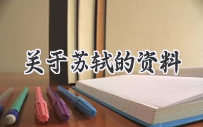 关于苏轼的资料