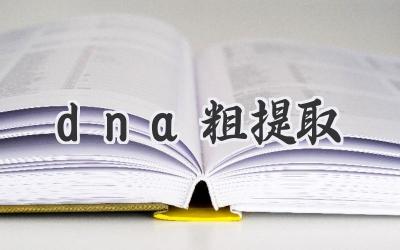 dna粗提取