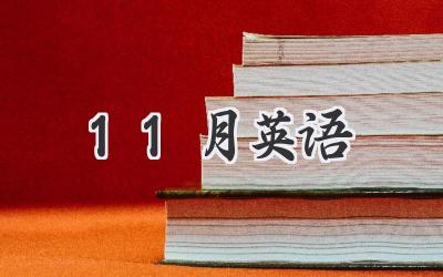 11月英语