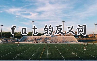 fat的反义词