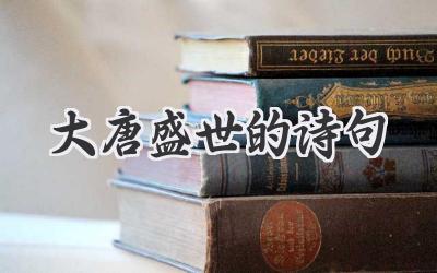 大唐盛世的诗句