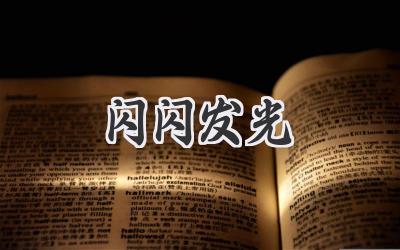 闪闪发光