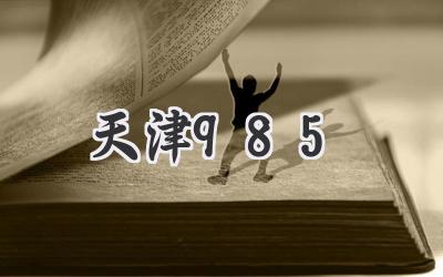 天津985