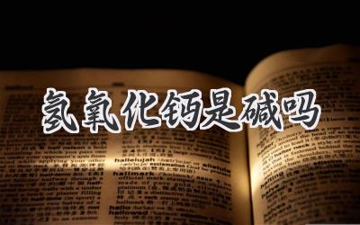 氢氧化钙是碱吗