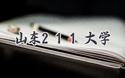 山东211大学
