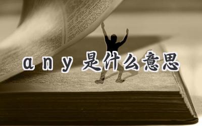 any是什么意思