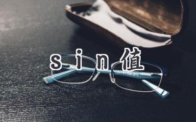 sin值