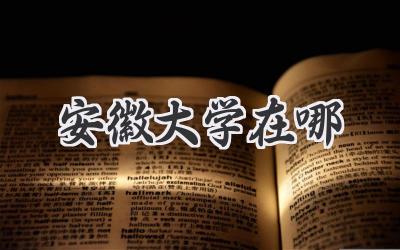 安徽大学在哪