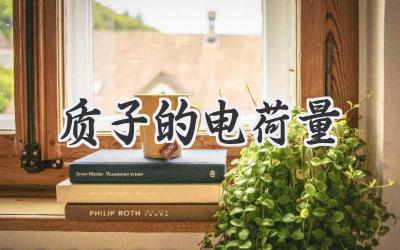 质子的电荷量