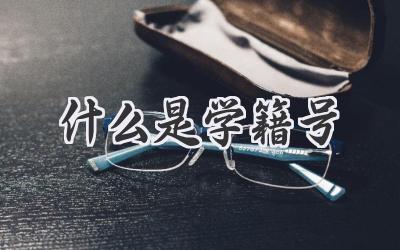 什么是学籍号